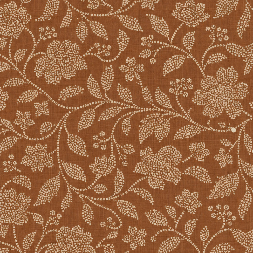 Terracotta Vine | Floral Ceiling Wallpaper